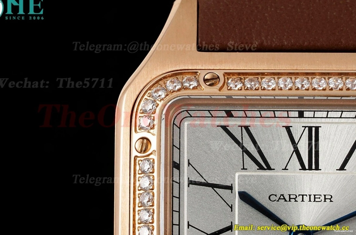 Dumont Dial Silver Brown Santos Quartz LE RG AF Dia 0313